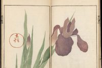 Japanese Aesthetics